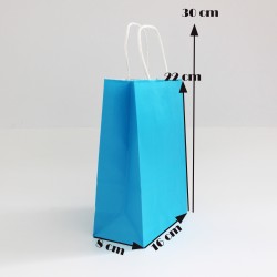 Paper bag with twisted handles 22*16*8cm, 12pcs