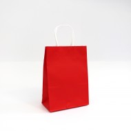 Paper bag with twisted handles 22*16*8cm, 12pcs