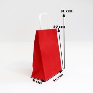 Paper bag with twisted handles 22*16*8cm, 12pcs