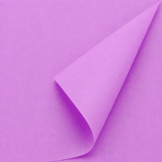 Zīdpapīrs Purple, 22 g/m², 50x70 cm, 100 loksnes