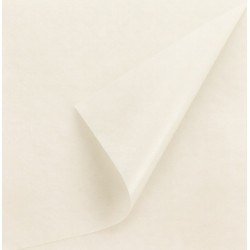 Zīdpapīrs White, 22 g/m², 50x70 cm, 100 loksnes
