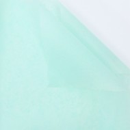 Zīdpapīrs Pastel Green, 17 g/m², 50x70 cm, 40 loksnes Zīdpapīrs Pastel Green, 17 g/m², 50x70 cm, 40 loksnes