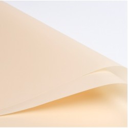 Ziedu plēve BASIC 20loksnes Ziedu plēve BASIC 20loksnes