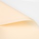 Waterproof Flower Wrapping Film BASIC, Matte, 60×60 cm, Cream (20 pcs)