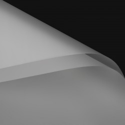 Ziedu plēve BASIC TRANSPARENT 20loksnes