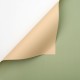 Double-Sided Matte Flower & Gift Wrapping CANDY – Sage Green / Champagne (20 sheets)