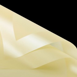 Ziedu plēve ROMANTIC 20loksnes, "beige-yellow"