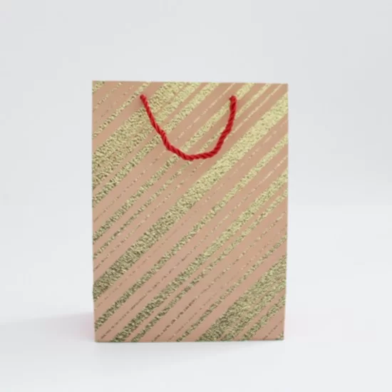 Подарочный пакет с веревочными ручками 18*24*8,5cm, 12шт.
