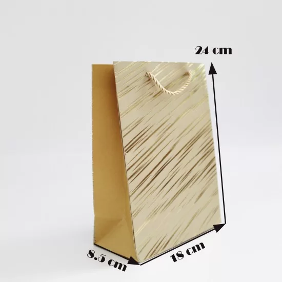 Dāvanu maiss ar virves rokturiem 18*24*8,5 cm, 12gab.
