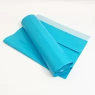 Ūdensiztūrīgie kurjeru maisi paku sūtījumiem 25*31+4cm, kr. Light Blue, 100gab.