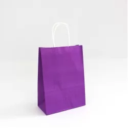 Paper bag with twisted handles 22*16*8cm, 12pcs